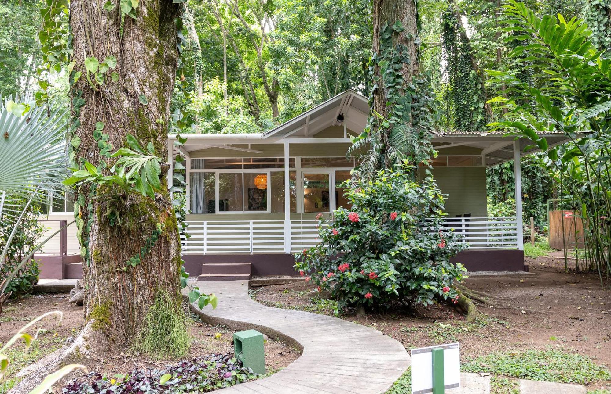 Jaguar Inn Bungalows Puerto Viejo de Talamanca Экстерьер фото