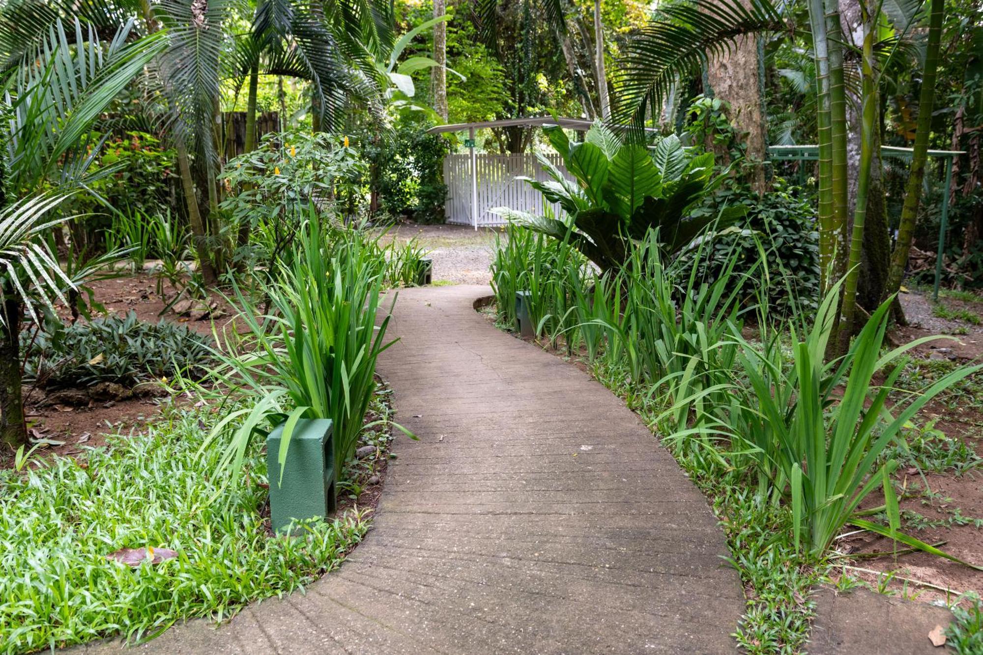 Jaguar Inn Bungalows Puerto Viejo de Talamanca Экстерьер фото