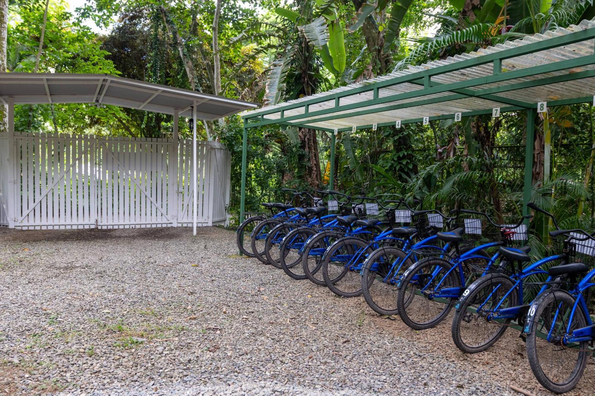 Jaguar Inn Bungalows Puerto Viejo de Talamanca Экстерьер фото