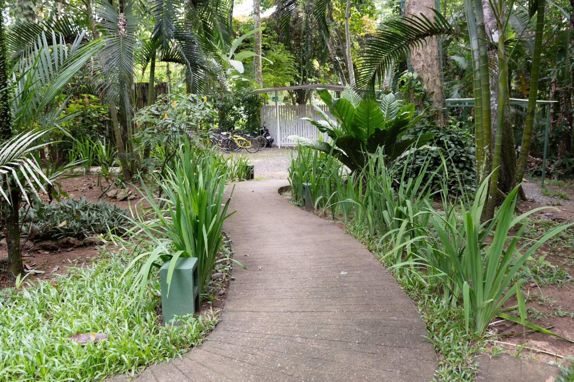 Jaguar Inn Bungalows Puerto Viejo de Talamanca Экстерьер фото