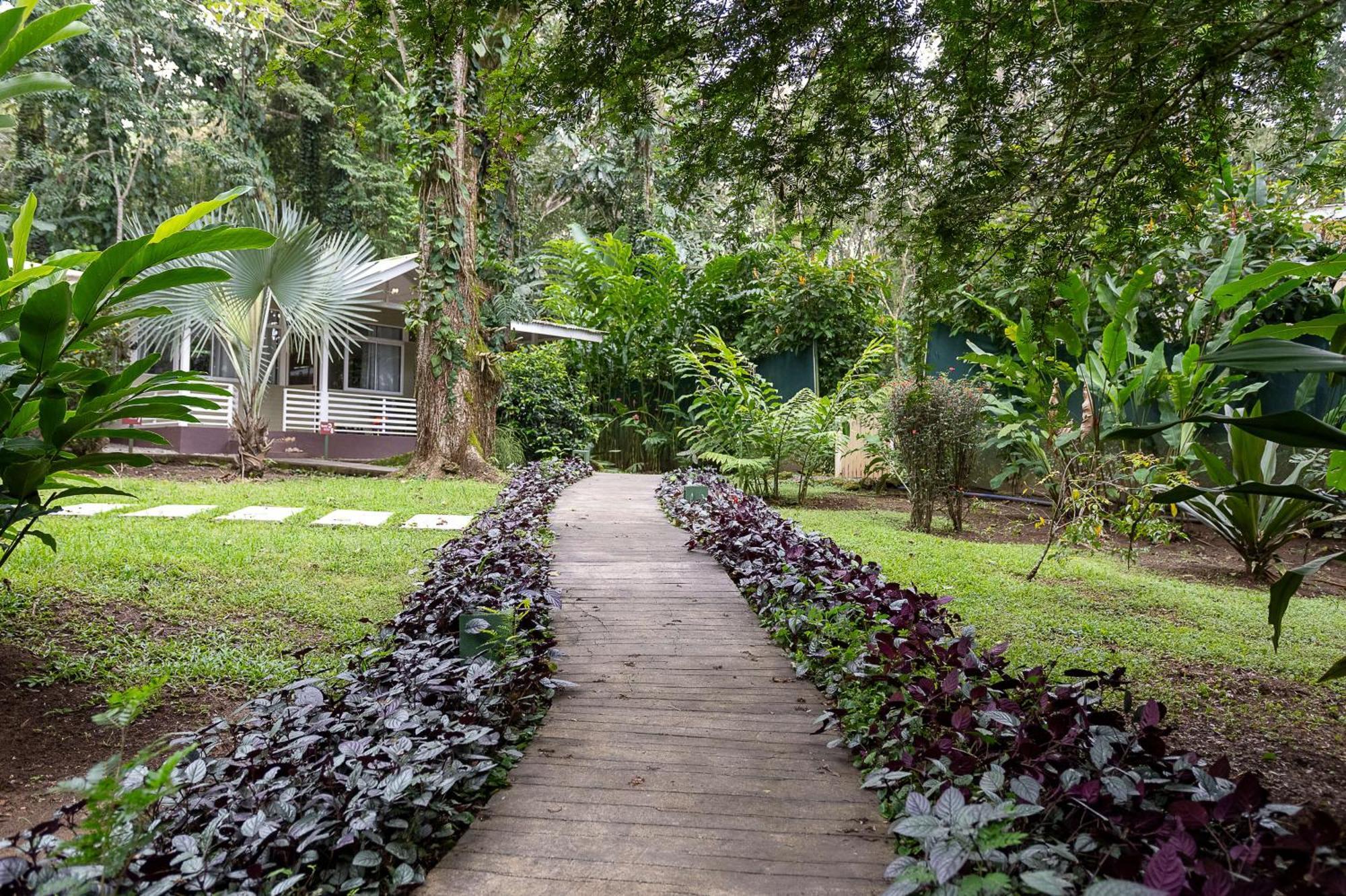 Jaguar Inn Bungalows Puerto Viejo de Talamanca Экстерьер фото