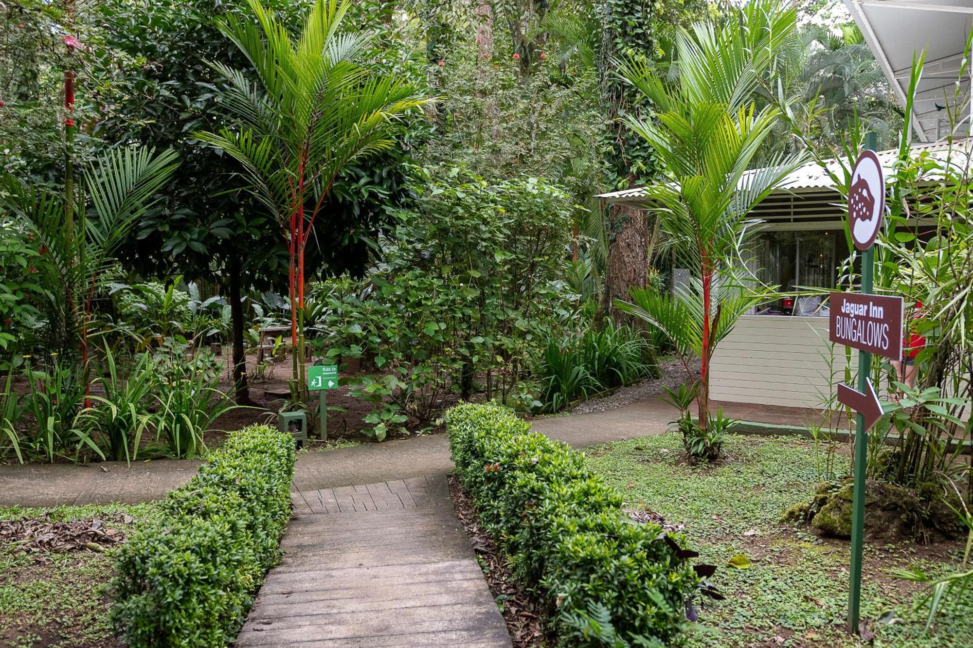 Jaguar Inn Bungalows Puerto Viejo de Talamanca Экстерьер фото