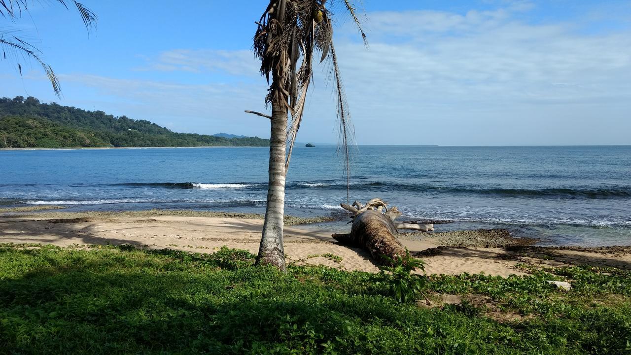 Jaguar Inn Bungalows Puerto Viejo de Talamanca Экстерьер фото